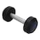 Weight Dumbbell 1 kg