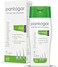 Pantogar Anti Hair Loss Shampoo For Men Original Growtect Fomula