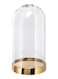 Generic Begavning Glass Dome Clear/Gold