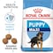 Size Health Nutrition Maxi Puppy 15 KG