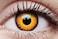 Crazy Lens Daily Orange Werewolf