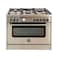 Bertazzoni Gas Cooker MAS905GGVLXC Silver/Black