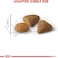 Royal Canin Fhn Feline Health Nutrition Savour Exigent 2Kg Cat Dry Food