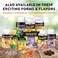 Airborne Vitamin C 1000Mg Immune Support Minerals &amp; Herbs, &nbsp;Antioxidants (Vitamin A, C &amp; E), Zinc, Fast Absorption, Gluten-Free &amp; No Preservatives