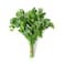 Fresh Parsley Local Pack