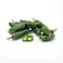 Jalapeno Green Pepper