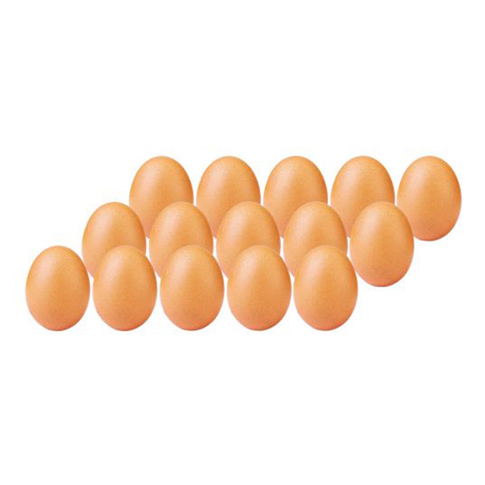 The Good Diet Eggs X 15 Pieces