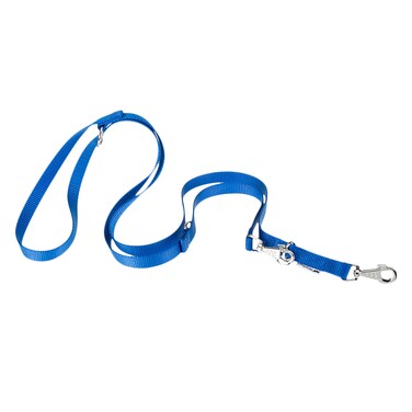 FERPLAST CLUB NYLON LEASH BLUE