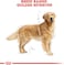 Royal Canin Bhn Golden Retriever Adult 12 Kg Breed Health Nutrition Dog Food