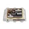 Al Zain White Eggs Large 6pcs