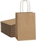 Brown Paper bags with handles 22 x 16 x 8 cm Small Kraft Gift bags for Birthday Party Favors, Weddings, Crafts, Packaging, Eid (24 Bags)