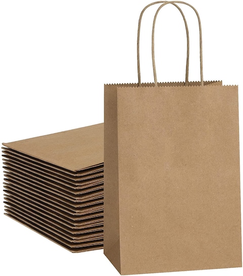 Brown Paper bags with handles 22 x 16 x 8 cm Small Kraft Gift bags for Birthday Party Favors, Weddings, Crafts, Packaging, Eid (24 Bags)