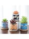 Generic 4 Pcs Succulent Plant Pots Small Modern Ceramic Indoor Planter With Bamboo Tray For Cactus Herbs Home Design 5 (Plants Not Included)
