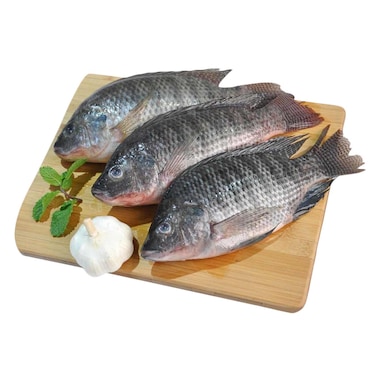 Fresh Tilapia Whole