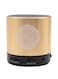Generic - Dar Al Salam Quran Speaker With Remote 6centimeter Gold/Black