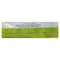 Funday Lemon Mint Flavored Bonbon Bag - 80 gram