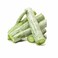 Snake Gourd India
