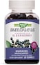 Nature's Way Sambucus Elderberry Adult's Immune Boost Gummies, 60 Gummies