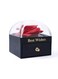 Generic Eternal Rose Gift Box, Handmade Fresh Preserved Rose Gift For Her On Birthday,Christmas,Mother's Day,Valentine's Day (Red) (Necklace Not Included)