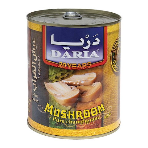 Daria Mushroom - Pieces and Slices - 425 gram