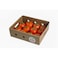 Tomato Family Pack