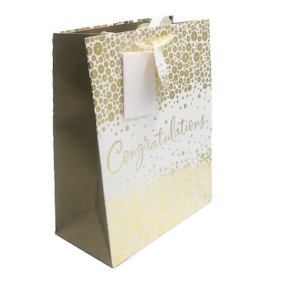 Levs Congratulations Gift Bag Ls