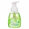 Kamena Foaming Hand Cleanser - 250 Ml - Apple