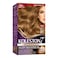 Wella Koleston Supreme Hair Color 7/3 Hazelnut