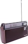 Panasonic Portable Radio R-218D