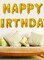 Generic 13-Piece Happy Birthday Letters Hanging Foil Balloon Set