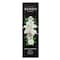 Senso Home White Gardenia Sticks 50ml