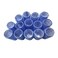 14 Piece Self Grip Hair Roller Curler Set Blue