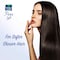 Parachute Flora Jasmine Scented Non-Sticky Coconut Hair Oil Clear 200ml
