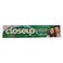 Closeup Deep Action Gel Toothpaste Menthol Fresh 125ml