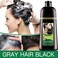 Mokeru Organic Natural Fast Hair Dye  5 Minutes Noni Plant  Black Hair Color Dye Shampoo For Cover Gray White Hair