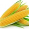 Sweet Corn