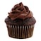 Mini Chocolate Cupcakes 6-Piece Pack
