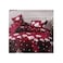 Bed Set 3 Pieces Set Magic Glow 230x250Cm Assorted