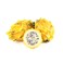 Pitahaya Yellow Dragon Fruit