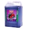Pep Mixed Fruit Drink 5L