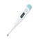 Digital Thermometer