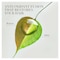 Herbal Essences Bio Renew Hydrate Coconut Milk Conditioner - 400 ml