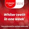 Colgate Tooth paste Optic White 75ml
