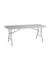 Multipurpose Folding Table Grey/Silver