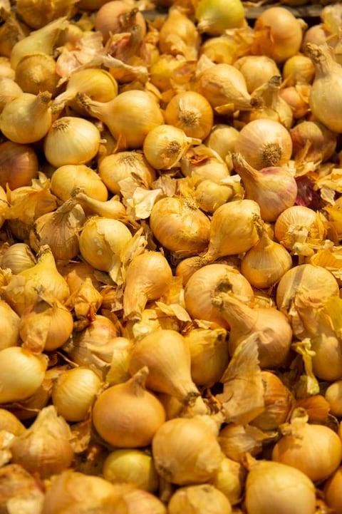 Pickling Onions