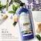 Herbal Essences&nbsp;Bio:Renew&nbsp;Purify&nbsp;Micellar Water and Blue Ginger&nbsp;Conditioner,400ml