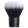 Isadora Face Buffer Brush