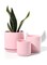 lower Pot with Drainage Holes and Saucers Plants Indoor Modern Home Decor Ceramic Flower Pots Indoor Bonsai Container-Large
