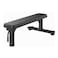 Harley Fitness RE Series Flat Bench