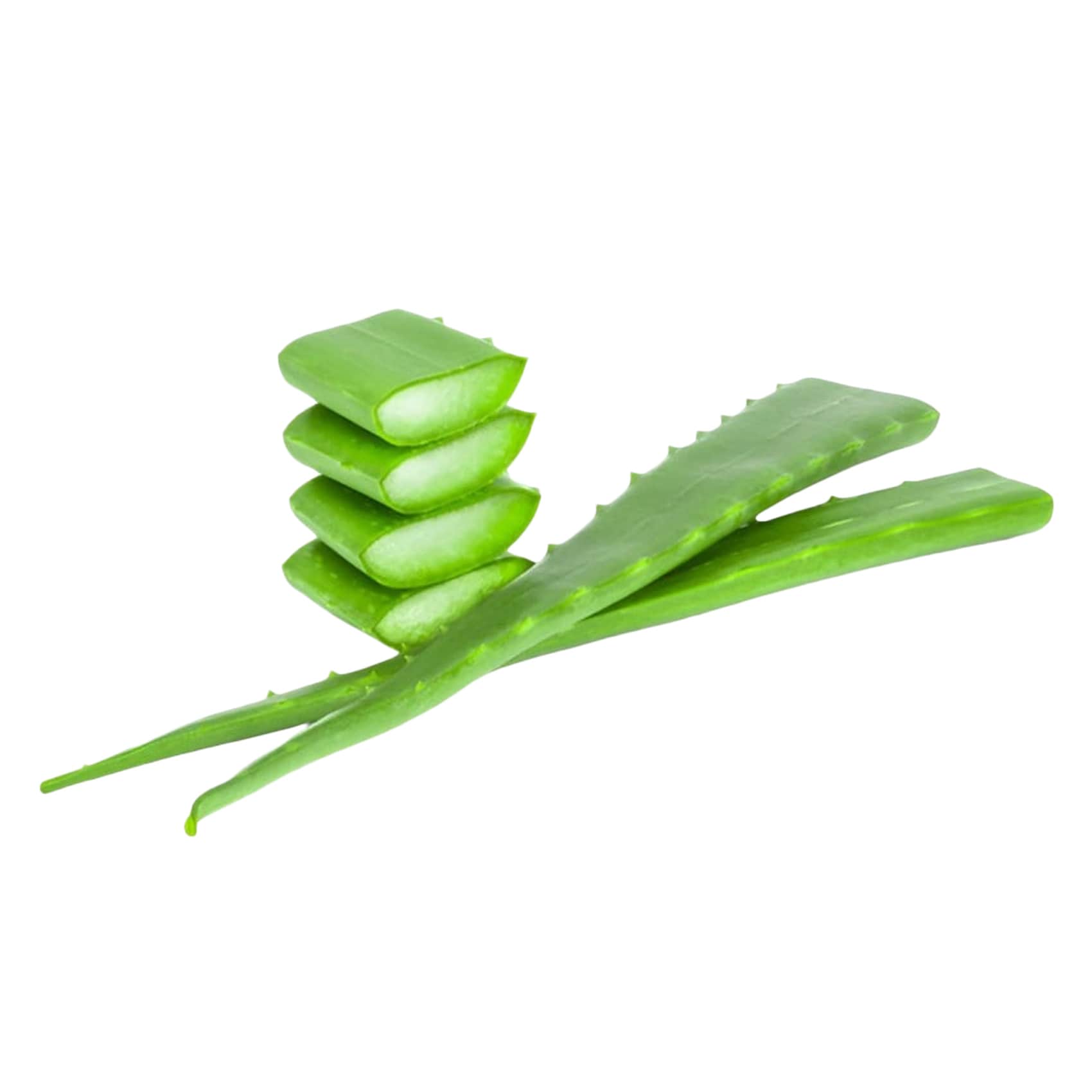Buy Aloe Vera Fresh Online | Carrefour KSA
